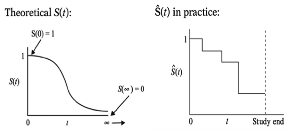 survival curve